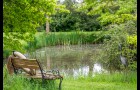 Deux maisons de charme, une grange, un étang sur 1,30 Hectares à la campagne